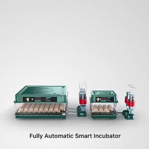 【wuxih】ur automatik penuh LED paparan ayam untuk burung angsa puyuh merpati penetasan alat untuk memerhati ur pembanan mesin Hatcher