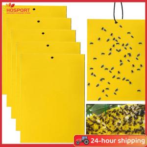 【HOSPORT】30/50/100 pcs แมลงวันผลไม้แมลง