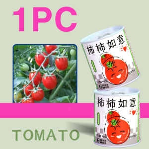 Home grow small green plants canned desk decoration cultured plant iron cans Plant pot