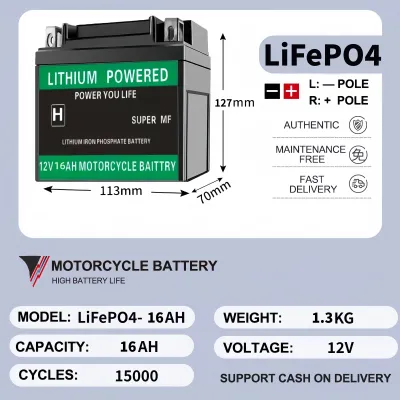 12V LiFePO4 Motorcycle Battery with 2-Year Warranty
