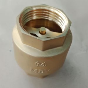 Van 1 chiều đồng lò xo phi 21 27 34