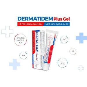 Gel Chấm Mụn DERMATIDEM PLUS Hỗ Trợ Giảm Mụn Mờ Thâm E&G Beauty 20g