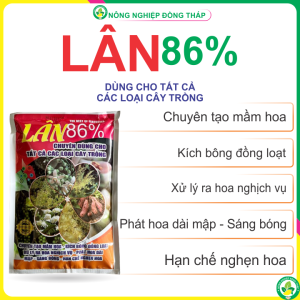 LÂN 86% - Chuyên Tạo Mầm Hoa Kích Bông Đồng Loạt Xử Lý Ra Hoa Nghịch Vụ Phát Hoa Dài Mập Sáng Bông Hạn Chế Nghẹn Hoa (Gói 1Kg)
