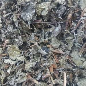 Combo 5kg chè dây cao bằng trà dây cho người viêm loét dạ dày đau dạ dày viêm họng mụn nhọt tiêu hóa kém hàng mới thơm phức HN