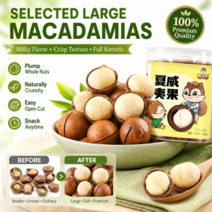 Macadamia Nuts Large Milk Flavor Creamy Roasted Premium Nuts Big Size Butter Macadamia Nuts Snack Grocery