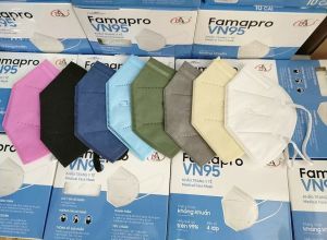 10 CÁI KHẨU TRANG FAMAPRO VN95 (N95) (1 HỘP)/ khẩu trang kháng khuẩn Nam Anh