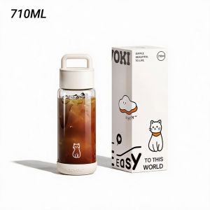 Zowoki GN High Borosilicate Glass Water Bottle with Mini Storage (710ml)