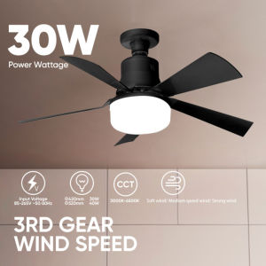 Fan Light Ceiling Fan With Lights And Remote Control E27 Fan Blade Bulb LED lights 16.5-inch Interface Bedroom Silent Chandelier Ceiling Light 2 in 1 30W/40w