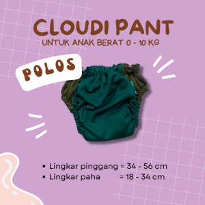 Clodi AIO Reguler Popok Kain Celana Bayi Cuci Ulang Cloudi Pant Polos