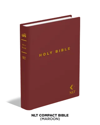NLT [New Living Translation] - Old and New Testament: Compact Edition (NEW