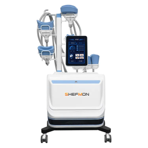 【Kuala Lumpur Training】4D Cryolipolysis Slimming Machine 360 For Fat Freezing Body Shaping And Fat Burning