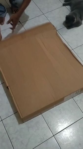 Buyer review video 6