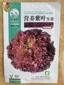 2000pcs/pack High Germination Purple Leaf Lettuce Seeds for Planting Vegetable Plant Seeds -A708