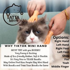 MINI HAND Tangan Jari Kecil Kucing TikTok Cat Funny Fingers Massage Hand Tiny Hand Small Hand Cat Massage Toys 撸猫小手