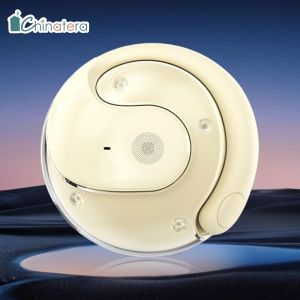 Wireless BT Language Translation Device Earphones Voice Translator Earbuds