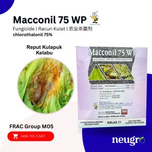 Brightonmax Macconil 75 WP 1KG Chlorothalonil 75% Racun Kulat Bintik Daun Mata Katak Penyakit Hawar Kulapuk Hitam Downy Karat
