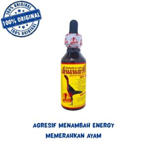 Super Energy ayam agresif dan bertenaga