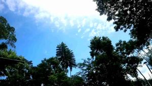 Desain Gamis Anak & Pakaian Formal Anak Mewah