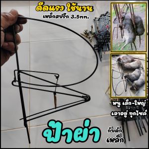 กับดัก ฟ้าผ่า เหล็ก 1มัด5อัน เหยียบสับแรง อยู่ทุกตัว ดักหนู พังพอน (ใช้ง่าย ได้ผลดี)