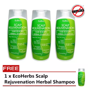*Buy 3 Free 1* EcoHerbs Scalp Rejuvenation Herbal Shampoo For Hair Loss Hair Fall Thinning Hair Oily Itchy Scalp Stops Dandruff & Hair Fall (For Men)