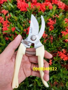 Kéo Cắt Cành Tỉa Cành AOHO Chất Liệu Thép Không Rỉ Sắc Bén (mã 00)