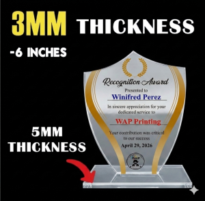 Customized Acrylic 3mm-Trophy-Plaque-Award