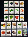 Flash Cards For Kids Laminated. 