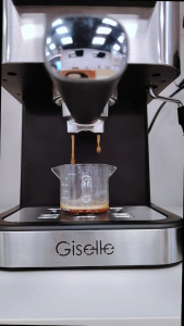 19 Bar Giselle Espresso Coffee Milk Bubble Maker Machine with Milk Frothing (1050W) KEA0332 Maquina De Café Espresso Geek Chef Espresso Machine Gevis Espresso Machines - Lazada