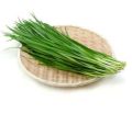 BENIH KU CHAI garlic chives Chinese chives isi banyak +-50 biji murah. 