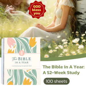 The Bible in 52 Weeks ：Journey Through Gods Word /A Yearlong Bible Study for Women