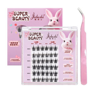 Pure Wild Segmented False Eyelashes