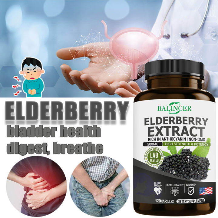 Elderberry Extract Dietary Supplement Bladder Health Support, Digestion