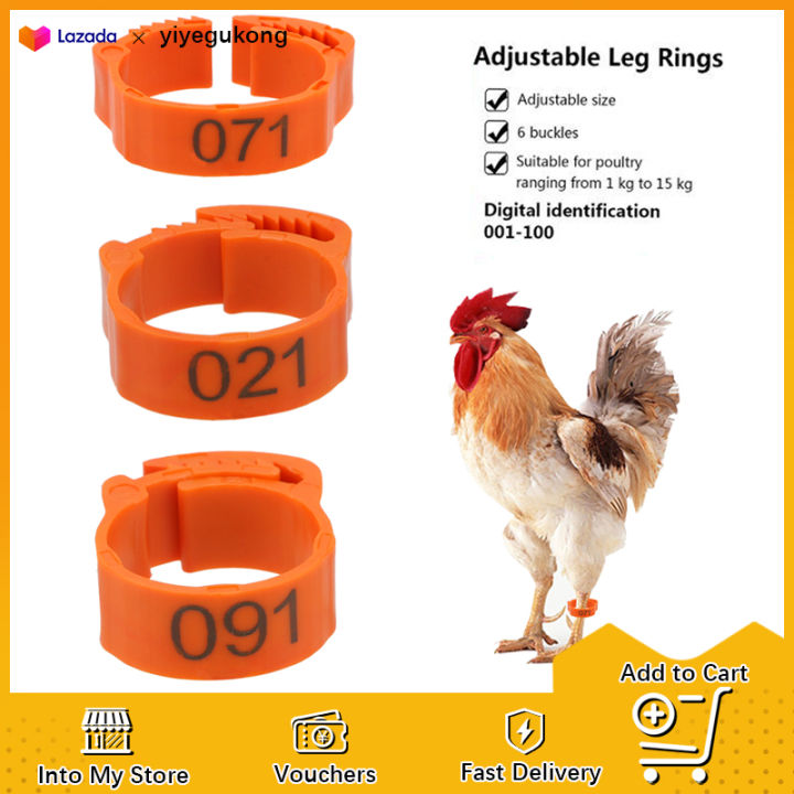 Chicken Rings Foot Adjustable, Poultry Rings