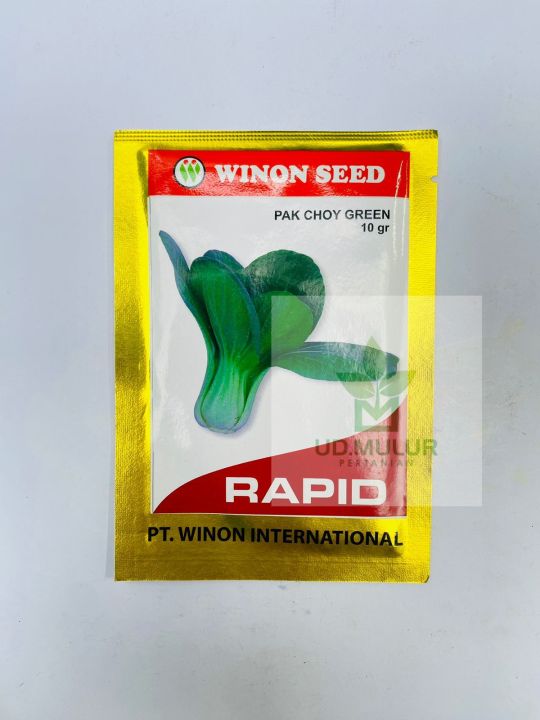 Benih sawi Pak Choy Green RAPID dari WINON SEED | Lazada Indonesia