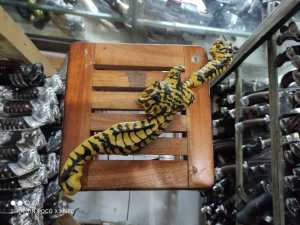 KOLEKSI KJG RESIN MACAN LORENG TERMURAH