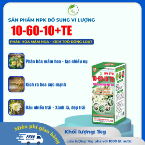 PHÂN NPK BỔ SUNG VI LƯỢNG 10-60-10+TE CHUYÊN PHÂN HOÁ MẦM HOA RA HOA CỰC MẠNHĐẬU NHIỀU TRÁI XANH LÁ ĐẸP LÁ