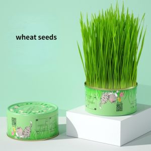 2 Types Cat Grass Seed Set Cat Grass Cup Healthy Cat Food Hairball Solution Biji Benih Rumput Kucing Cat Wheat Grass Treats