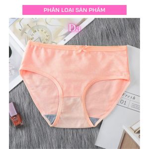 Quần lót nữ cotton nhiều màu có size 68kg siêu thoáng trẻ trung thoải mái (MS 03137) Anna Shop