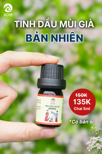 Tinh Dầu Mùi Già BẢN NHIÊN 5ml - Xông phòng tắm tất niên