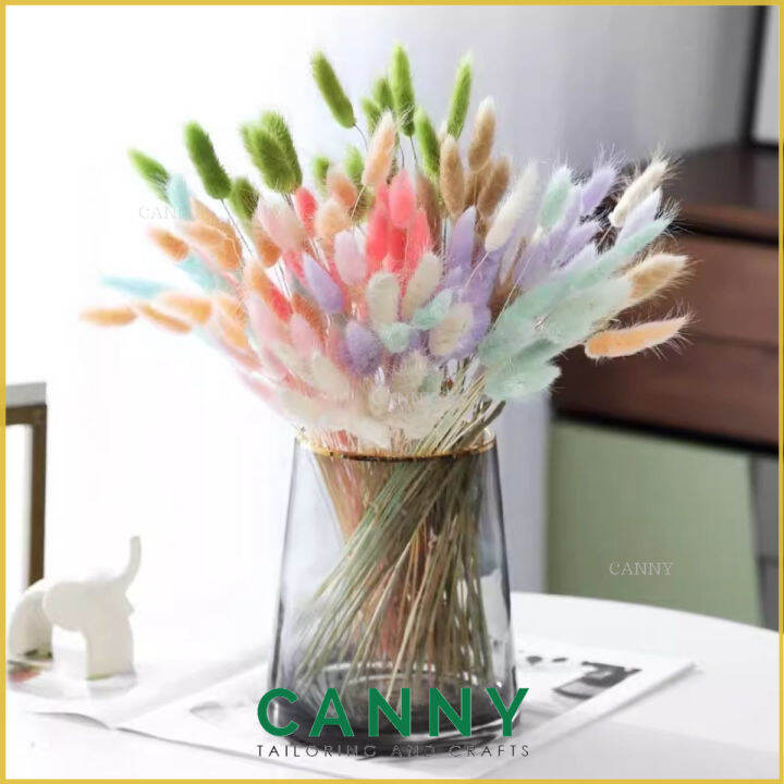 (30pcs) Dried Flower Rabbits Tail Dry Flower Bouquet / Rabbit Tail