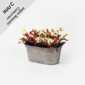 Rustic Blooming เซ็ทกระถางสังกะสี+ดอกไม้แห้ง | อบ แห้ง ธัญพืช ต้นไม้ ดอกไม้ ใบไม้ ไม้เลื้อย ไม้ประดับ กิ่ง ก้าน กระถาง แจกัน ตกแต่ง ของขวัญ กล่อง