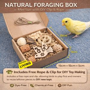 6-in-1 Parrot Enrichment Toy Set | Natural Chew & Foraging Toys with Cuttlebone Sola Balls & Shredded Paper | Prevents Boredom | Healthy Beak & Mind