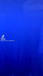 PHÔNG XANH TÁCH NỀN LÀM NỀN CHỤP ẢNH v.v