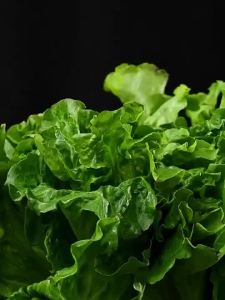 【SG Ready Stock】 Stainless Steel 316/304 Cutting Board Antibacterial Double-Sided Chopping Board Kitchen