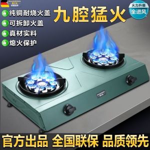 German Desktop Gas Stove Household Double Burner Nine-Chamber Raging Fire Stove Natural Gas Liquefied Gas Stove First-Class Energy Efficiency Stove