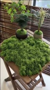 100g Artificial Simulation Moss Lawn Decoration DIY Micro Landscape Layout Green Plant Bonsai Artificial Simulation Moss 100gMiniature Grass DIY Green Plant Static Grass Flocking for Home/Garden