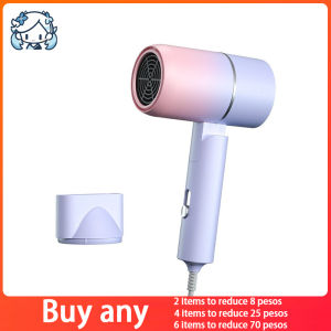 Mini Hair Blower Dryer Foldable Home Travel Small Pet Blower Dryer Home Hair Blower Dog Blower