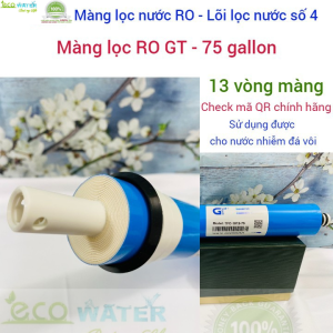 [Tặng kèm 1m dây phi 6 và 1 cút T nối nhanh] Lõi lọc nước ro  màng lọc nước ro  lõi lọc nước số 4 - GT75