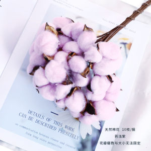 (10 tangkai) Bunga Kapas Cotton Dried Flower