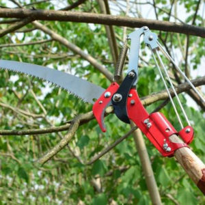 Kéo Cắt Cành - Kéo Tỉa Cành Trên CAO Đa Năng 3IN1 Kèm Cưa Tiện Dụng Cho Mọi Gia Đình Có Cây Cối